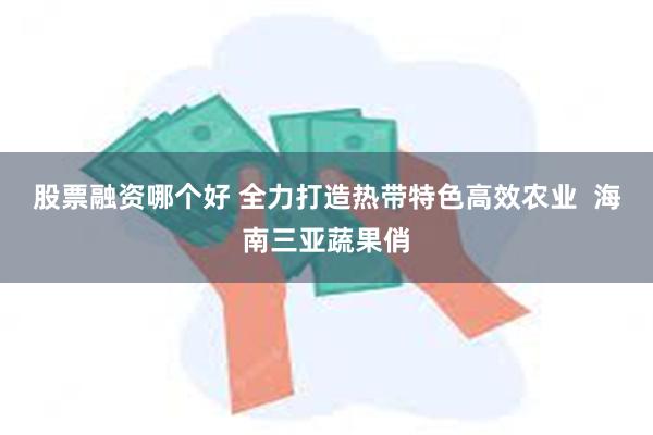 股票融资哪个好 全力打造热带特色高效农业  海南三亚蔬果俏