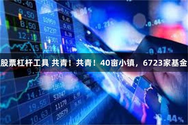 股票杠杆工具 共青！共青！40亩小镇，6723家基金