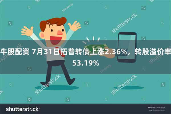 牛股配资 7月31日拓普转债上涨2.36%，转股溢价率53.19%